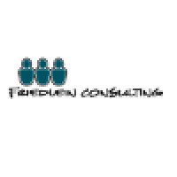 Friedlein It Consulting