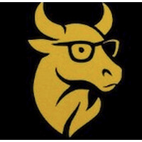 WiseBull.co.in logo - Similar company to Roadsail