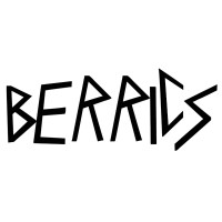 BERRICS GmbH logo - Similar company to Herca