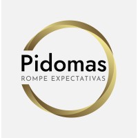 Pidomas logo - Similar company to Drago