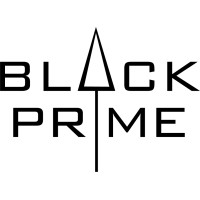 Black Prime LLC logo - Similar company to Black Sul Software