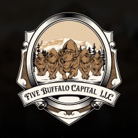 Five Buffalo Capital, LLC logo - Similar company to Stream Inspectors