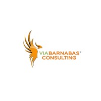 via Barnabas Consulting, Inc logo - Similar company to Barnabas Consulting Ltd