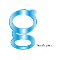 Geominas logo - Similar company to Risk Solution Group