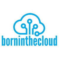Born In The Cloud (follow Open Systems) logo - Similar company to Tiberium