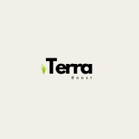 TerraBoost.mx logo