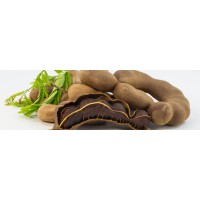 Thai Quality Food Co. Ltd logo - Similar company to Exotic Foods