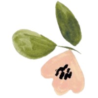 De Roseboom Shop logo - Similar company to Dezorgfirma