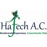 HAFECH A.C. logo - Similar company to Arkray México