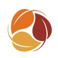 Auburn Consultancy logo - Similar company to The Thinking Project
