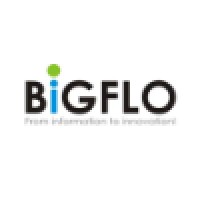 Bigflo S.R.L.