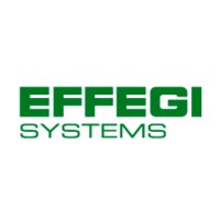 Effegi Systems logo - Similar company to Gochange Tech