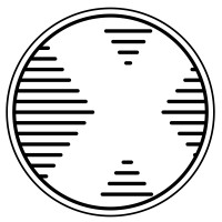 Project X logo - Similar company to The Bbq Project