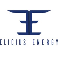 Elicius Energy Private Limited logo - Similar company to Palms Connect, Llc