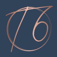 T6 Talent Partners logo - Similar company to Maverix Private Equity