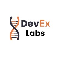 DevEx Labs logo - Similar company to Codegalaxy.Io