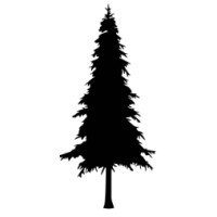 Blackwood Builders logo - Similar company to Pacific Rim Environmental, Inc. (Pacrim)