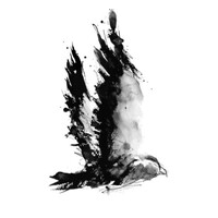 Silver Hawk Vineyards logo - Similar company to Cannabuddy