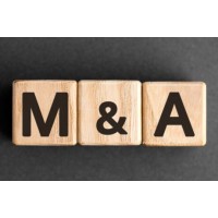 M&A | Investment logo - Similar company to Hls & Partner Sa