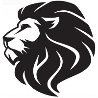 Watson Capital & Consulting logo - Similar company to Digital Pipeline