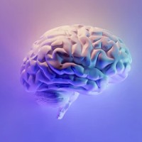 Psychotechnology logo - Similar company to Alttene