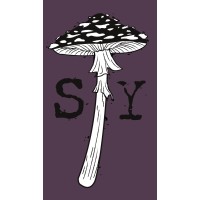 Sara Young Art logo - Similar company to Langston Boulevard Alliance