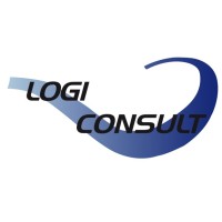 LOGICONSULT logo - Similar company to Teknosavo