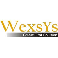 WEXSYS logo - Similar company to Magnifez Academy