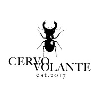 Cervo Volante AG logo - Similar company to Castleson