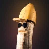 First Bananas GmbH logo - Similar company to Heybets