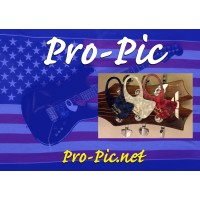 Pro-Pic the Pros Pick logo - Similar company to Creative Inventive Solutions Llc