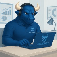 BlueBull logo - Similar company to Next Step Solutions