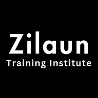 Zilaun Training Institute logo - Similar company to Megadot Computer