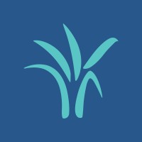 Alliance for Microfinance in Myanmar logo - Similar company to Mc Easy Microfinance Co. Ltd.