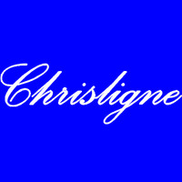 CHRISLIGNE logo - Similar company to Blm It