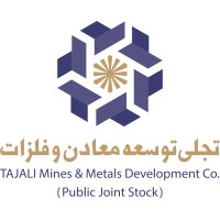 Tajali logo - Similar company to Maani | مانی