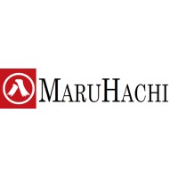 MARU HACHI Corporation logo - Similar company to Surface Generation Limited