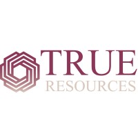 True Resources logo - Similar company to Stream Hr