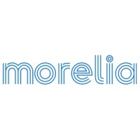 Morelia Caballito logo - Similar company to Capilea Caballito