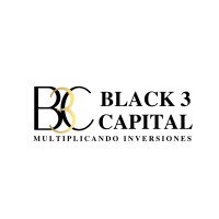 Black 3 Capital S.A.P.I. de C.V. logo - Similar company to En Red - Diseño Y Construcción De Datacenter
