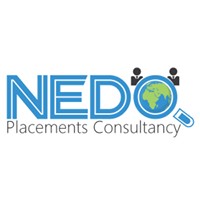 Nedo Placements Consultancy logo - Similar company to Centurion Software Solutions