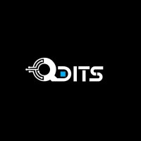 Q-DITS logo - Similar company to Cyberfocus
