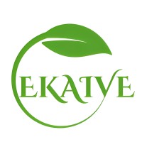 Ekaive Global Services logo - Similar company to Visicore Technology Group