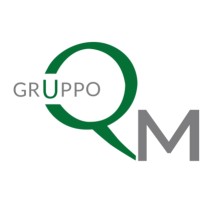 GRUPPO QM logo - Similar company to Mdtech