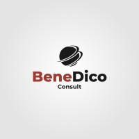 BeneDico Consult logo - Similar company to Gcb Labs