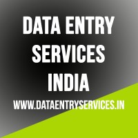 Data Entry Service India logo - Similar company to Data Entry & Lead Generation