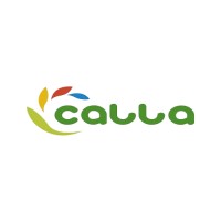 Calla Paints logo - Similar company to Capital Paints Llc