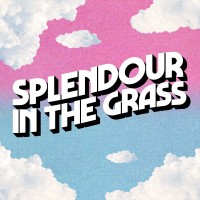 Splendour in the Grass logo - Similar company to Byron Bay Bluesfest