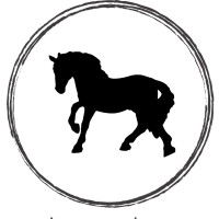 Riding In Circles, LLC. logo - Similar company to Music Sync Live