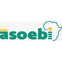 Asoebi Africa logo - Similar company to Asoebi